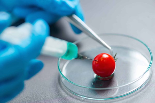 What Are the Best Performance Mods for a Diesel BMW 335d?