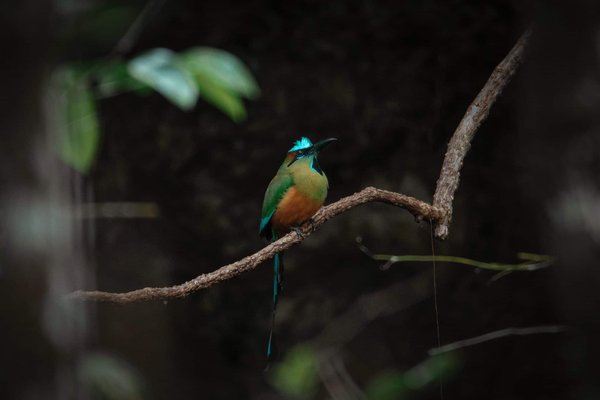 Is It Possible to Fit a Larger Wheel and Tire Package on a Audi Q3 Without Body Modification?